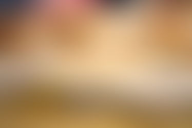 ארץ-עיר-כפר // ויקי גורשטיין