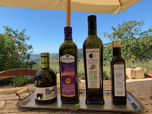 Comparazione olio di oliva