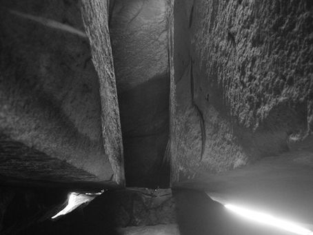 Grow a big heart and a big brain