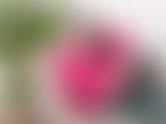 WHY I LOVE BEING A WIX WEBSITE BUILDER (and Why My Clients Love It Too)