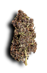 Fleur-CBD-détourée-Maison-Barnabelle-3.png