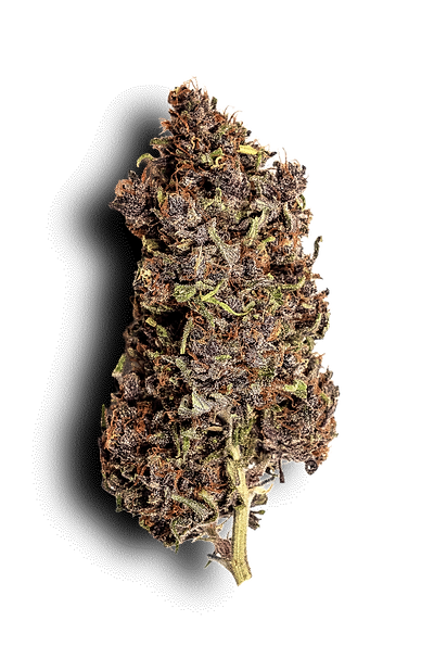 Fleur-CBD-détourée-Maison-Barnabelle-3.png