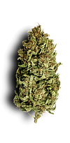 Fleur-CBD-détourée-Maison-Barnabelle-2.png