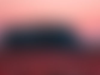 The logistics of love: what really drives Valentine's Day