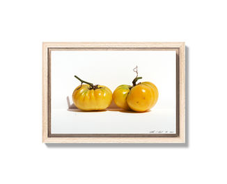 Organic_17_TCard_2375_12.25x8.16_Framed_13.25x8.16_srgb_web_7T.jpg