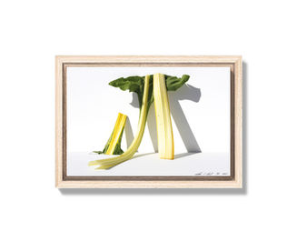 Organic_07_TCard_0826_12.25x8.16_Framed_13.25x8.16_srgb_web_4T.jpg