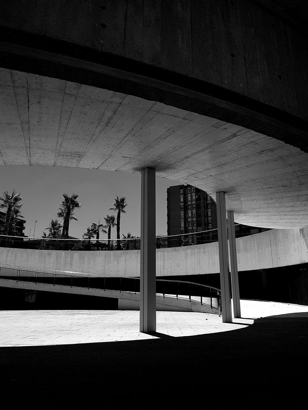 Entre luces y sombras