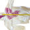 Thumbnail: Y2K Famous Stars and Straps purple and white hoodie (small)