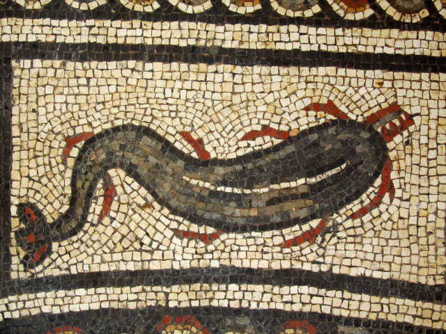 Dolphin mosaic
