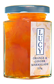orange and ginger.png