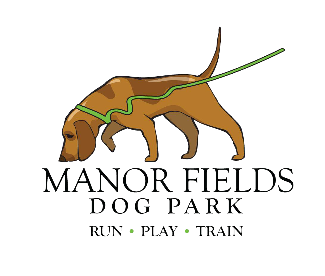Enclosed dog run near me cheap