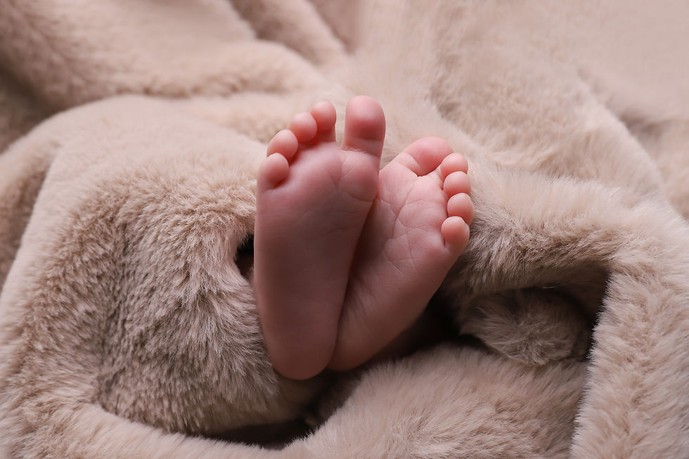 Thumbnail: Bump to Baby Photo Shoot North East