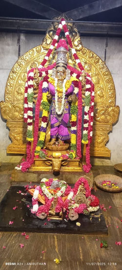 Krishna Paksha Prathamai after Chandi Yagna Darshan 11.07.26