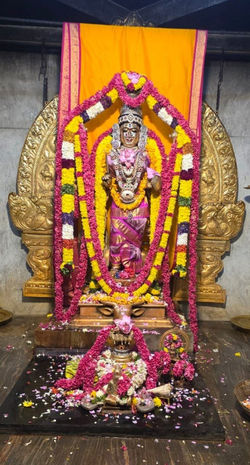 Krishna Paksha Prathamai Chandi Yagna, Pooja Darshan.02-04-26