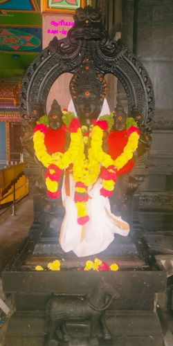 Ratha Sapthami Pooja Darshan 25-01-26