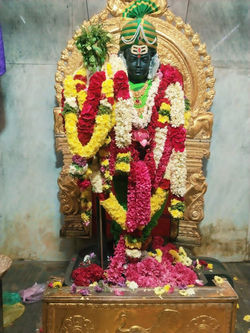 SankataHara Chaturthi Pooja Darshan 06-01-26
