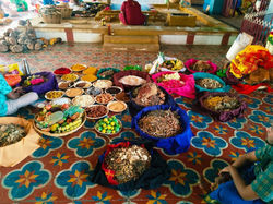 Vishwavasu Chitra Krishna Paksha Prathamai Chandi Yagna and Darshan 13.05.25.