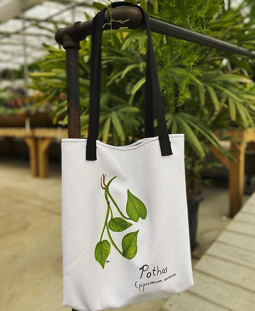 Pothosbag2.jpg