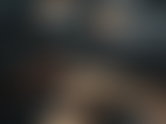 The Search for the Standard