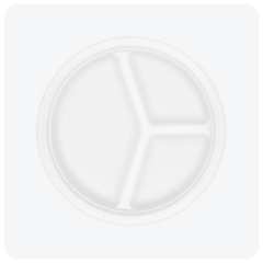 10 inch Divided Plate.png