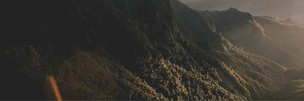TWSL background.png