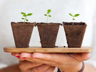 Growing in Faith: What Spiritual Development Looks Like