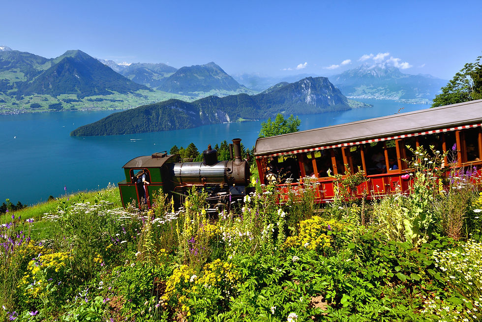 Rigi Steam Train