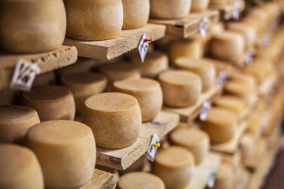 Swiss Chees