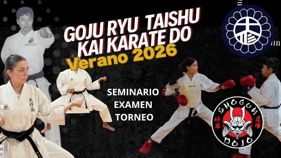 Seminario, Examen y torneo de Karate Verano