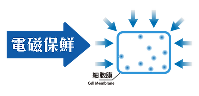 電磁保鮮技術的原理