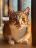 IMG_4081.jpeg