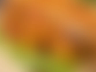 HEALTHY SNACKING : CRISPY PANEER SANDWICH