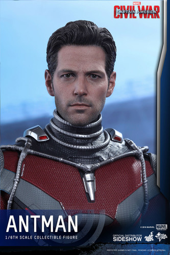 HOT TOYS CAPTAIN AMERICA CIVIL WAR ANT-MAN | toyhideout