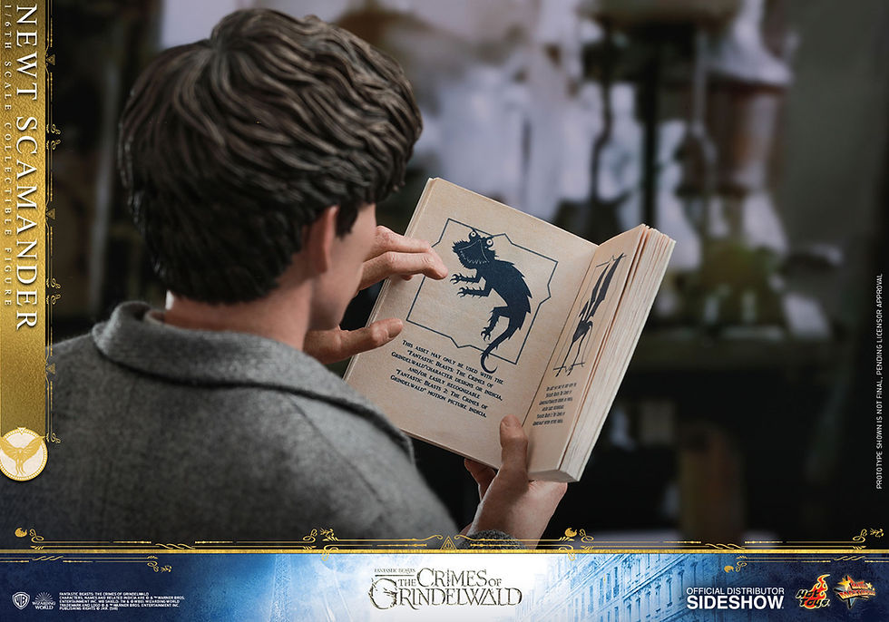 Thumbnail: HOT TOYS FANTASTIC BEASTS CRIMES OF GRINDELWALD NEWT SCAMANDER