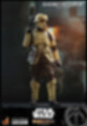 Thumbnail: HOT TOYS STAR WARS THE MANDALORIAN SHORETROOPER