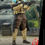 Thumbnail: HOT TOYS STAR WARS ROGUE ONE SHORETROOPER SQUAD LEADER