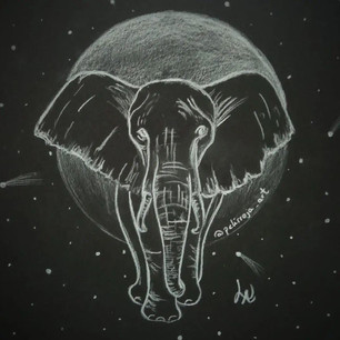 elefante.jpeg