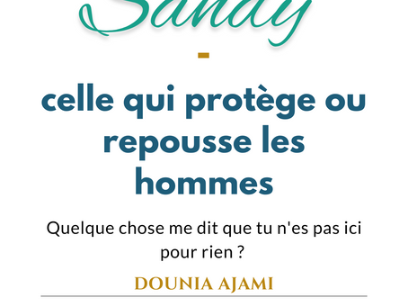 SANDY : Introduction