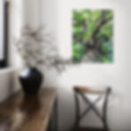 Medium sized canvas print of a painting of a tree. This canvas is hanging on a wall with a chair and vase / stool