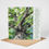 Thumbnail: Fine Art Greeting Card with Oak Tree and Jeremiah 17 v 7 bible verse at the bottom.