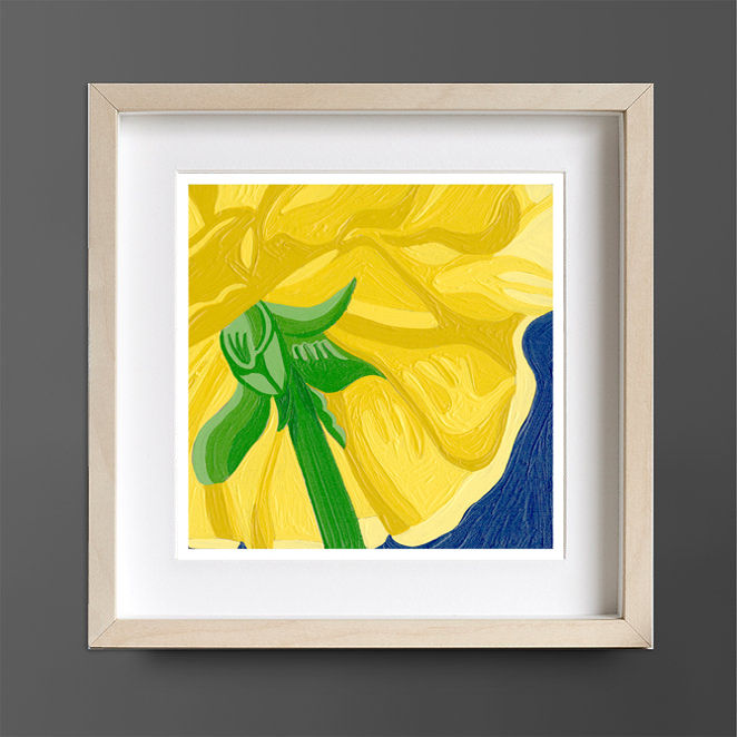 Yellow Rose