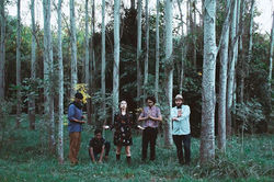 22489831_774738599377192_8484165304953355889_n