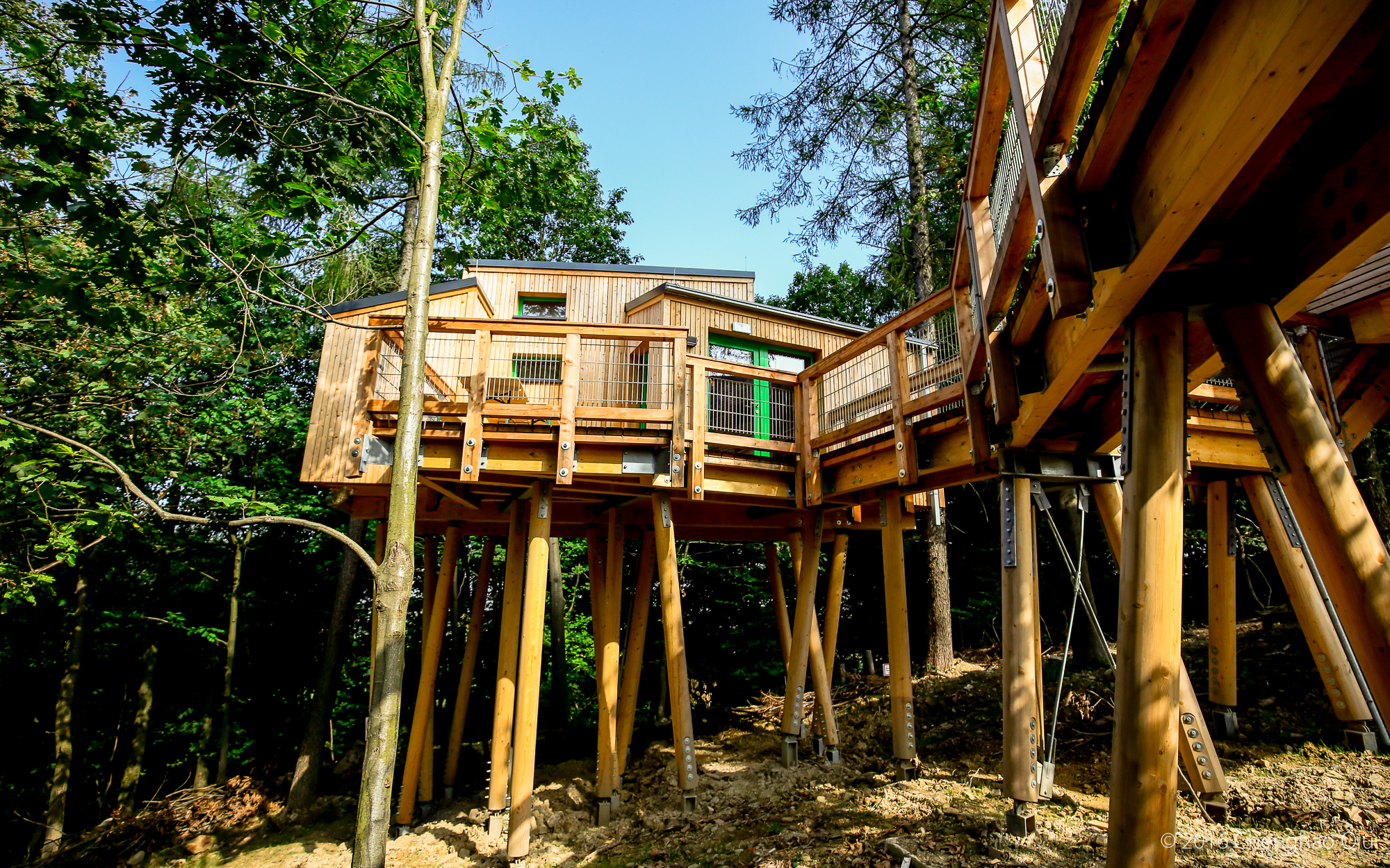 Panarbora Baumhaus Bilder:  A Magical World to Draw and Explore!