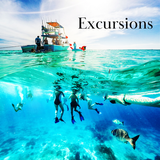 people snorkeling in the ocean