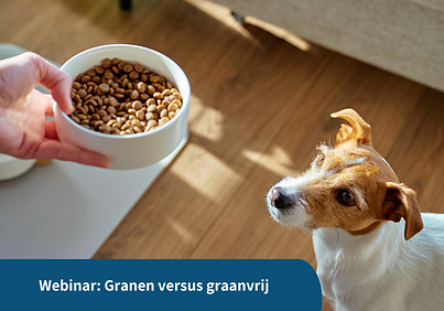 Ontwerpen website 2026 (3).png