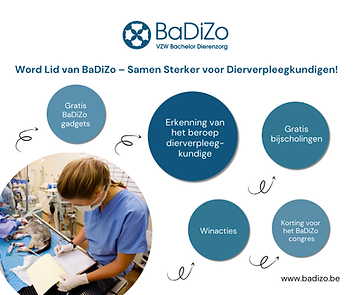 Word Lid van BaDiZo (4).png