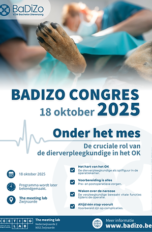 BADIZO_Flyer_Congres 2025.png