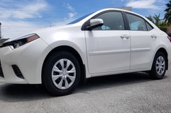 perfect-autoshine-sinny-white-1200x799-1 (1)