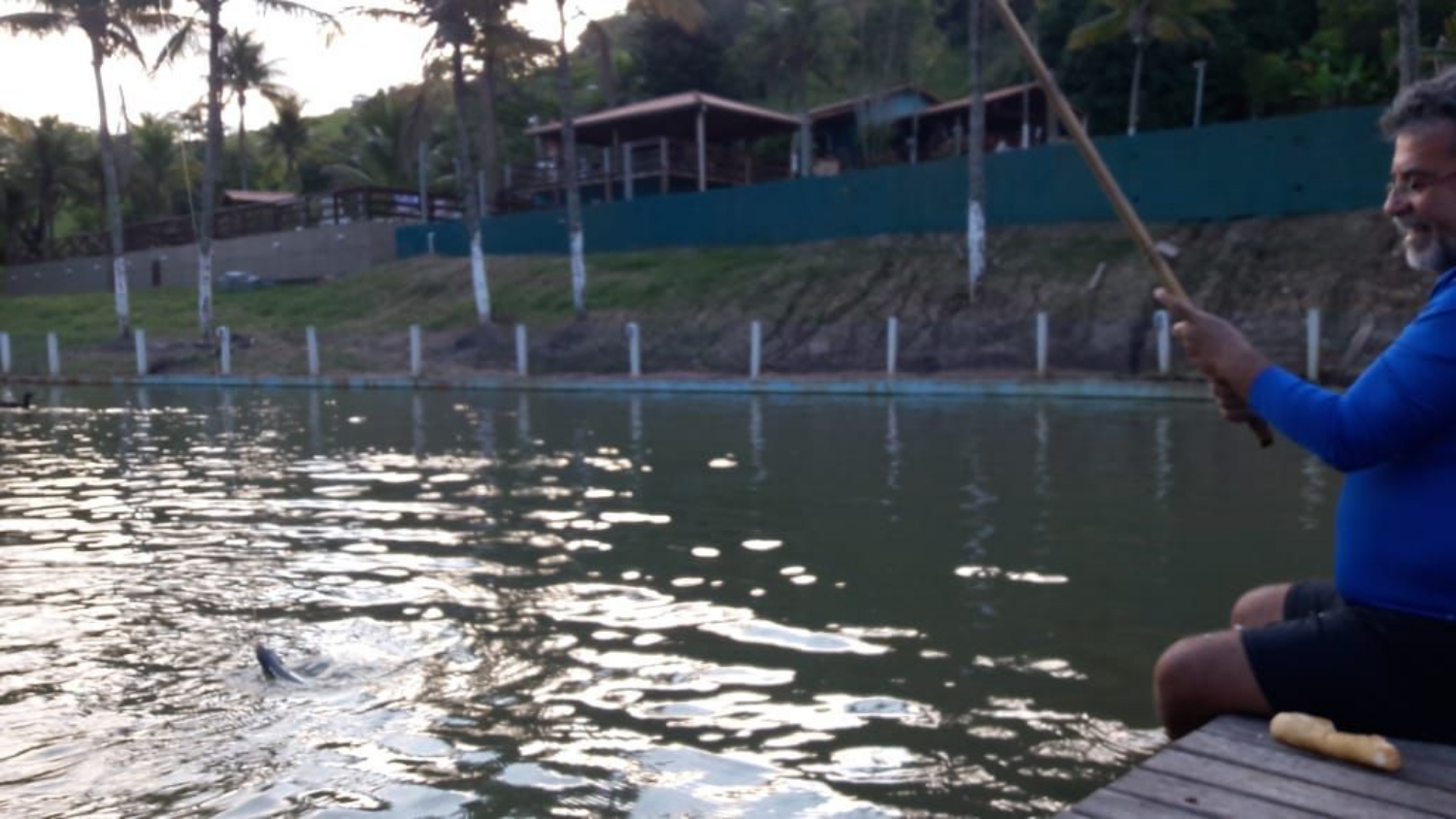 Foto do escritor: LagoaAzul Fazenda
