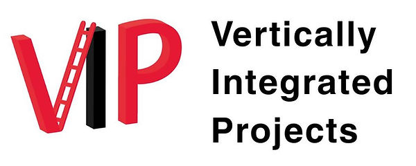 VIP LOGO 20205.jpg